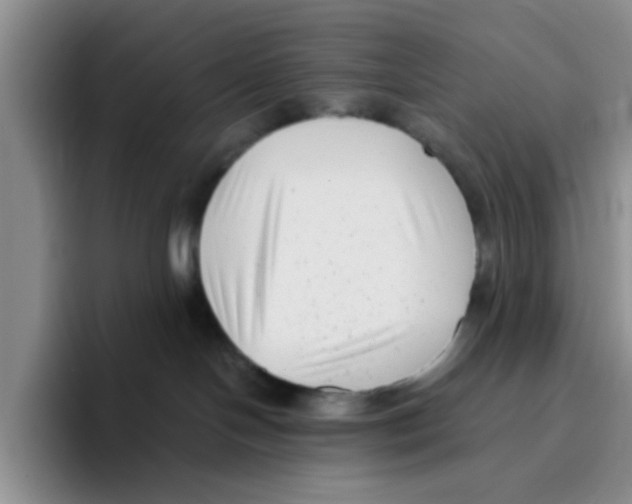 X0000096160094200802151423