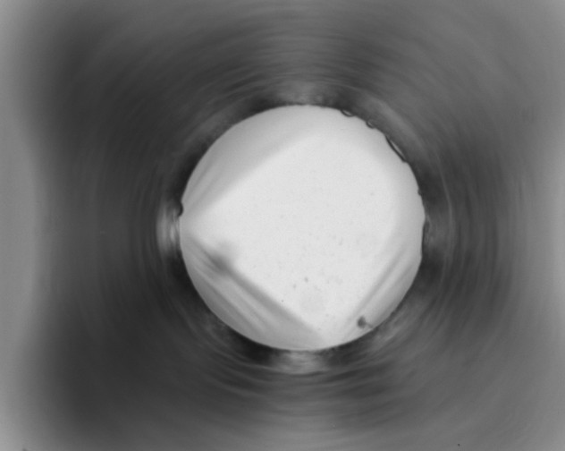 X0000096160095200802151423