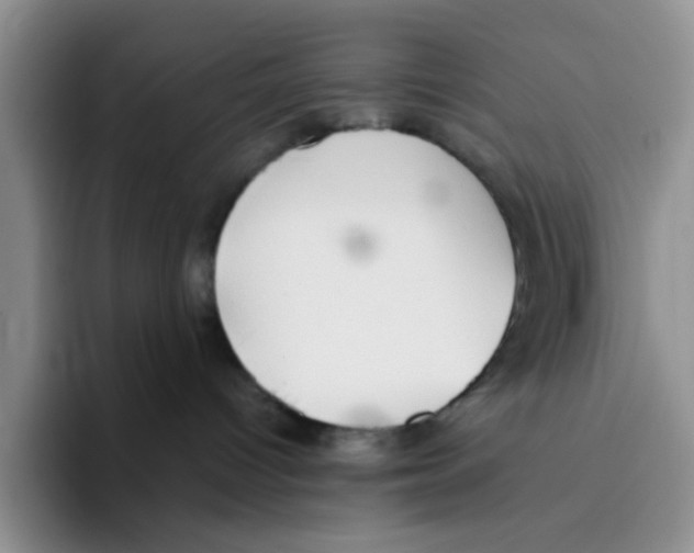 X0000096160096200802151423