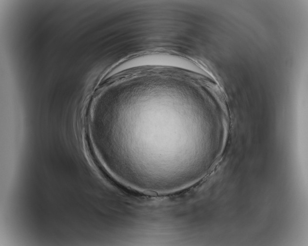 X0000096160097200802151423