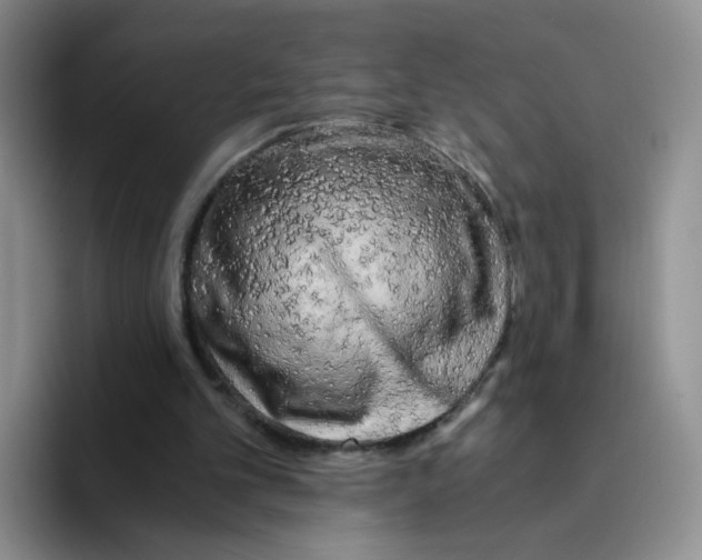 X0000096160101200802151423