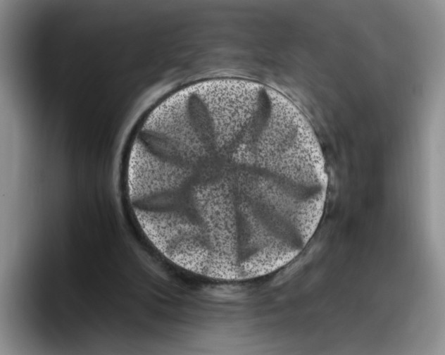 X0000096160104200802151423