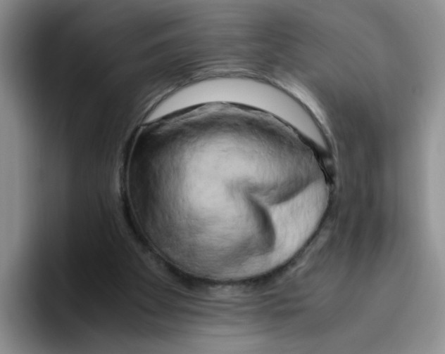 X0000096160105200802151423