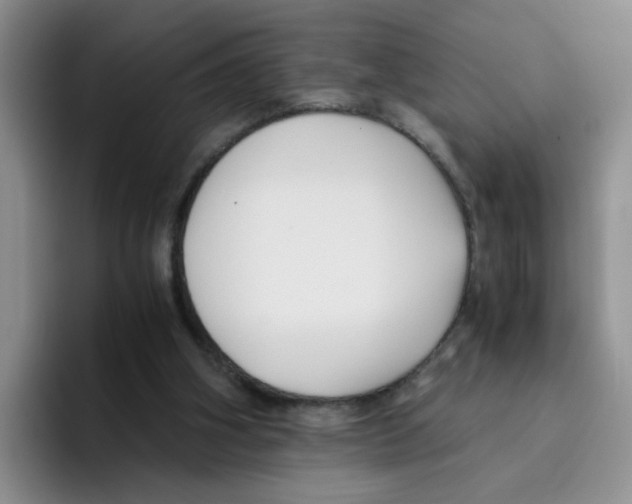 X0000096160106200802151423