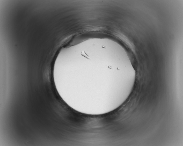 X0000096160107200802151423