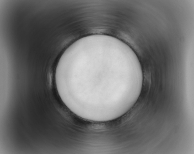 X0000096160110200802151422