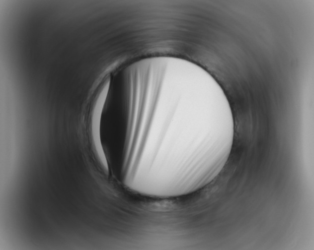 X0000096160112200802151422