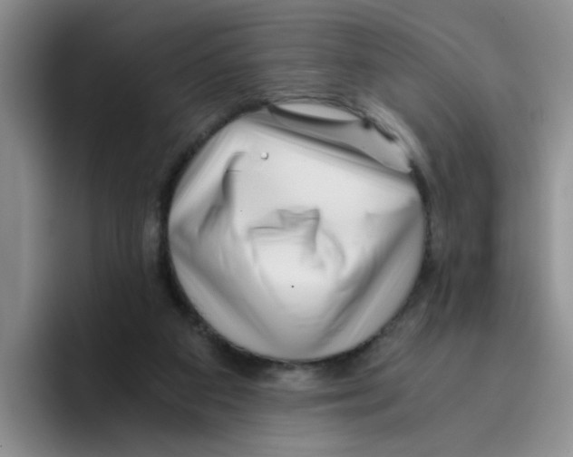 X0000096160113200802151422