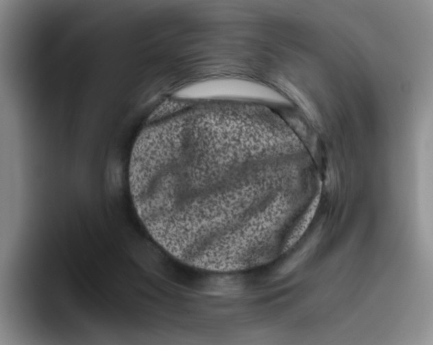 X0000096160117200802151422