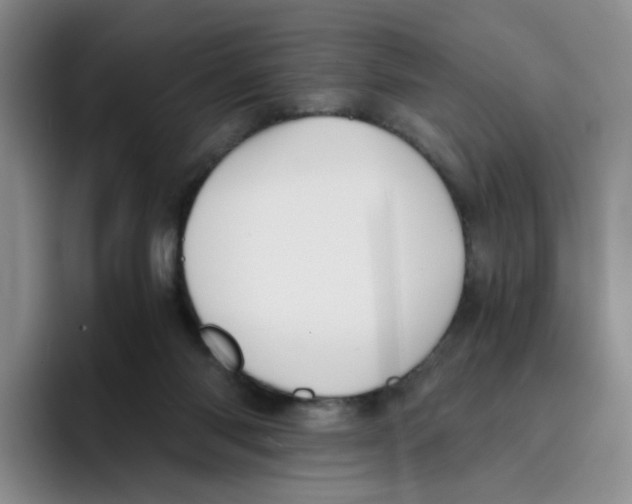 X0000096160118200802151422