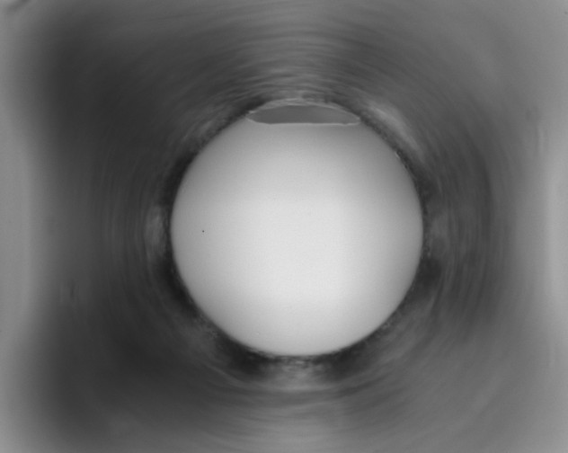 X0000096160121200802151422