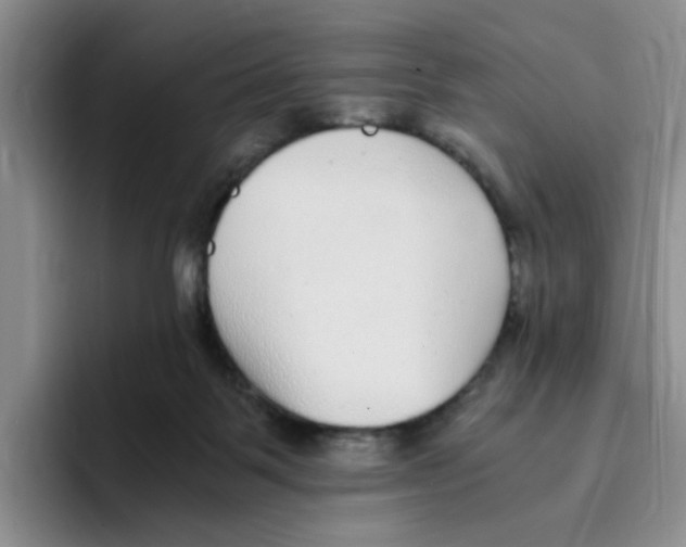 X0000096160123200802151422