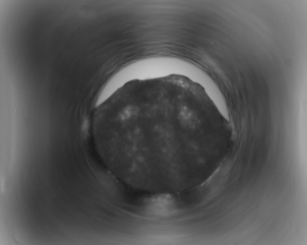 X0000096160124200802151422