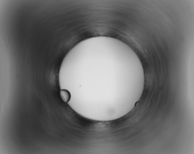 X0000096160126200802151422