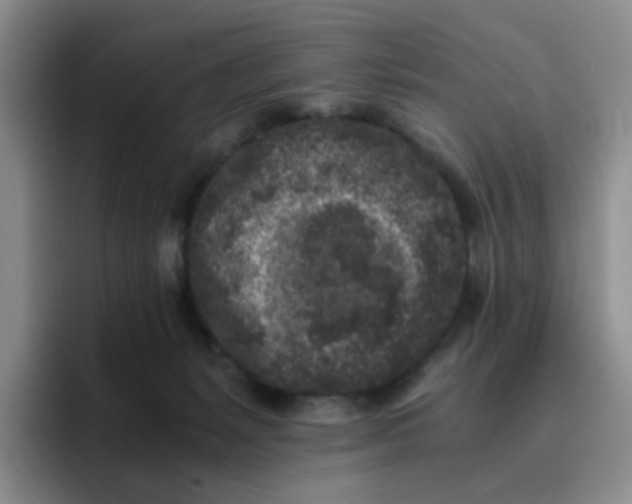 X0000096160127200802151422