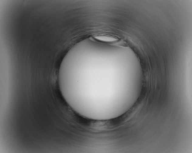 X0000096160129200802151422