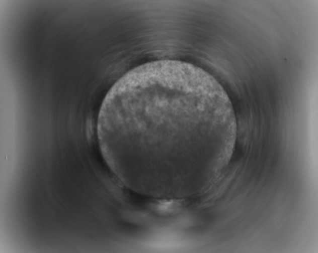 X0000096160130200802151422