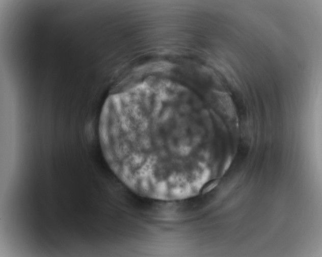 X0000096160131200802151422