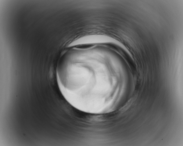 X0000096160132200802151422