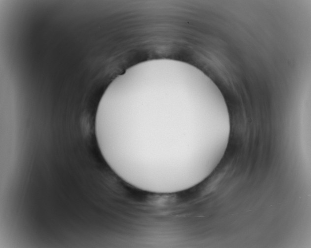 X0000096160135200802151422