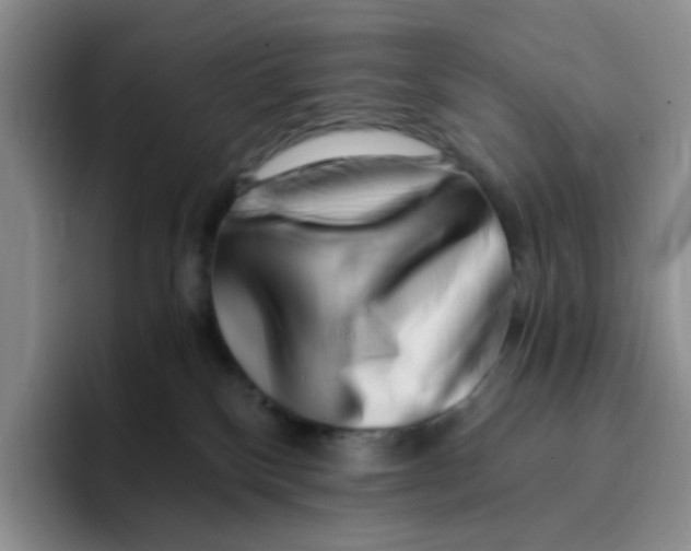 X0000096160136200802151422