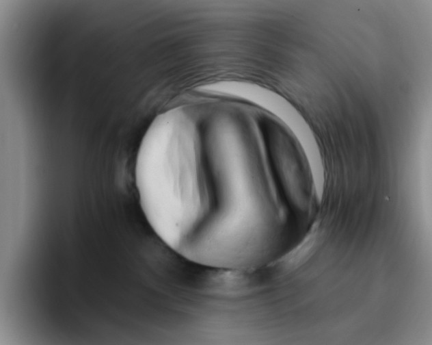 X0000096160140200802151422