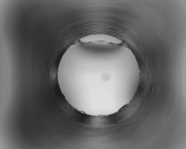 X0000096160141200802151422