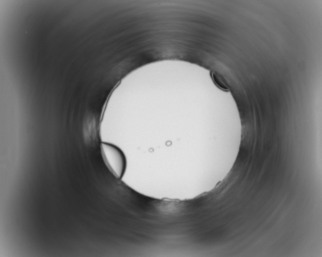 X0000096160142200802151422