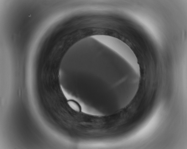 X0000096160143200802151422