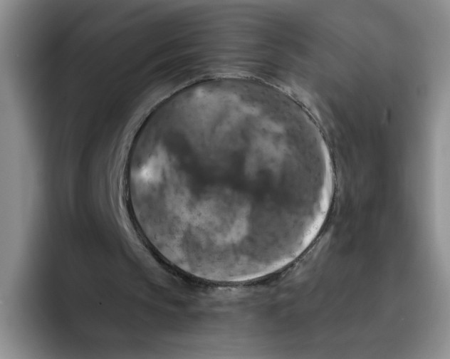 X0000096160145200802151421