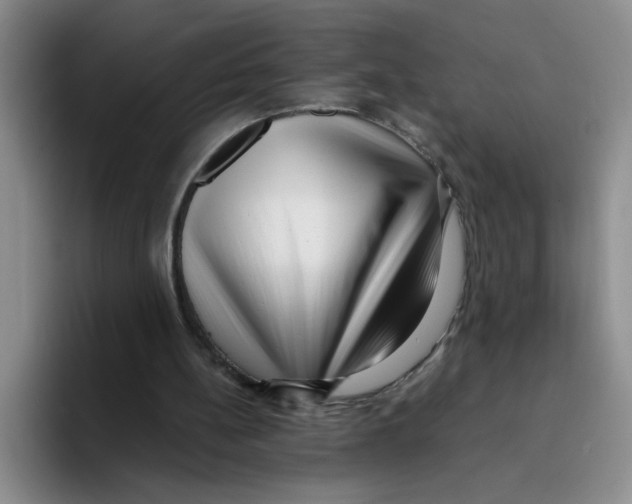 X0000096160148200802151421