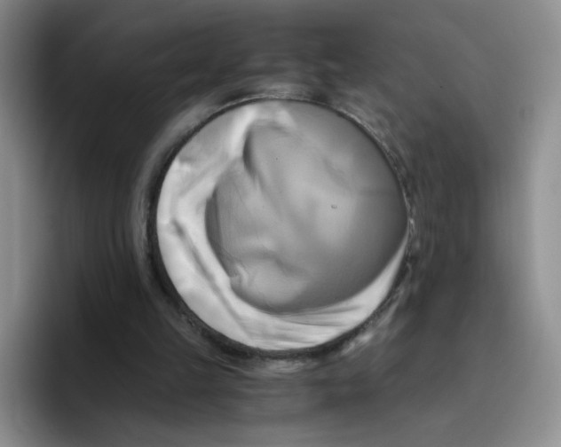 X0000096160149200802151421