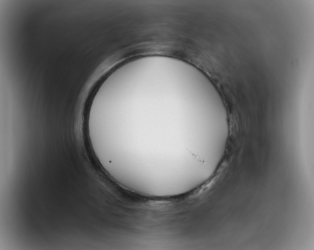 X0000096160150200802151421