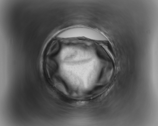 X0000096160152200802151421