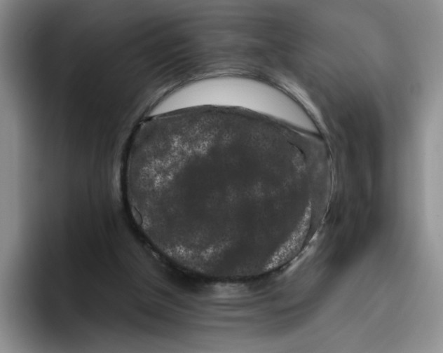 X0000096160154200802151422