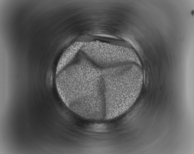 X0000096160157200802151422