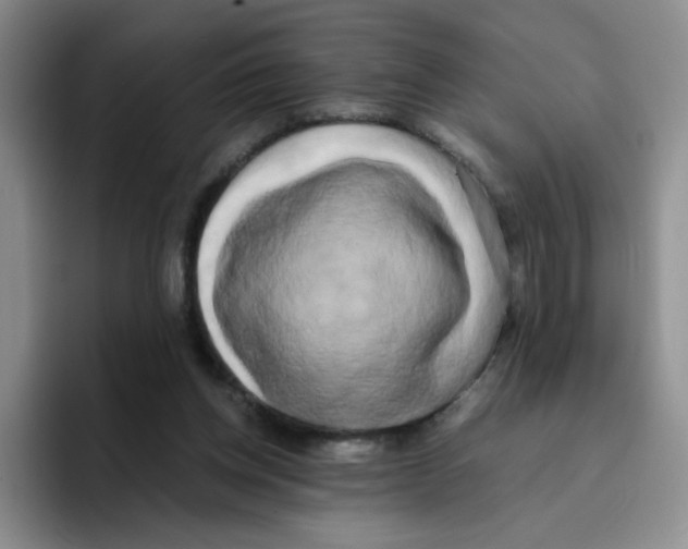 X0000096160158200802151422