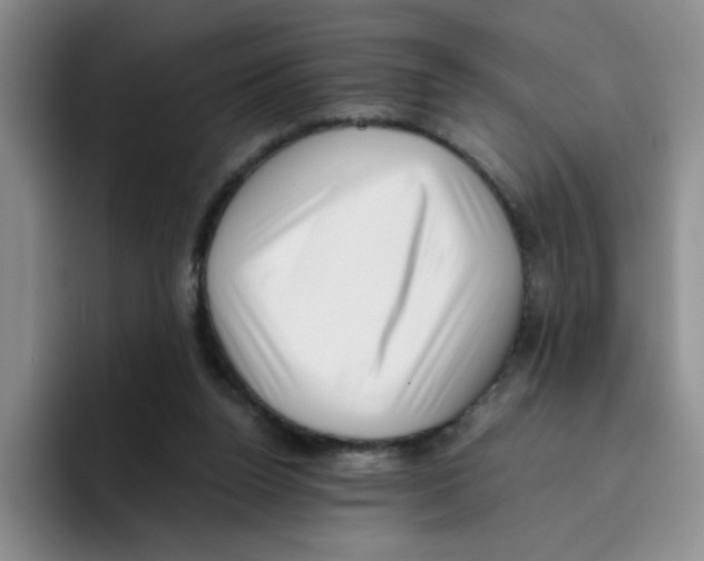 X0000096160160200802151422