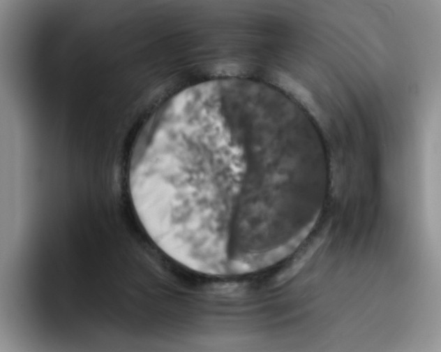 X0000096160161200802151422