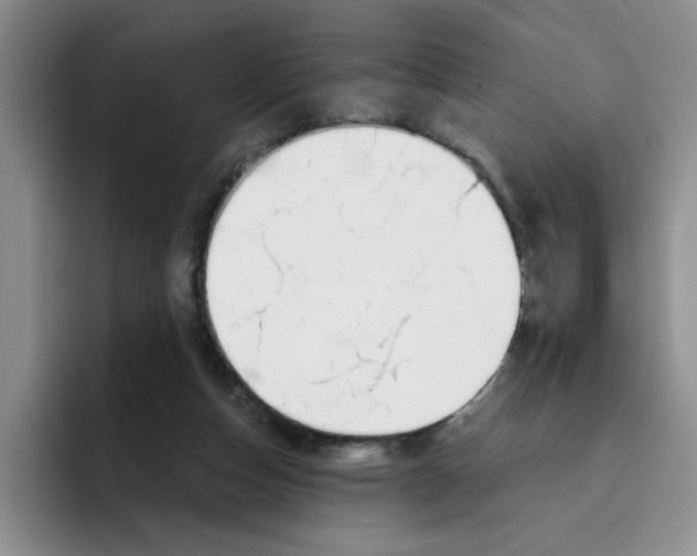 X0000096160162200802151422