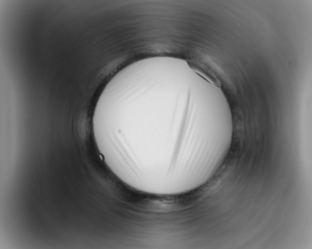 X0000096160164200802151422