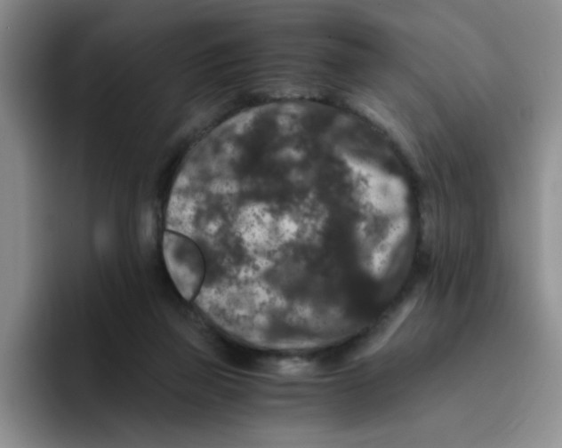 X0000096160165200802151422