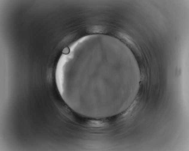 X0000096160167200802151422