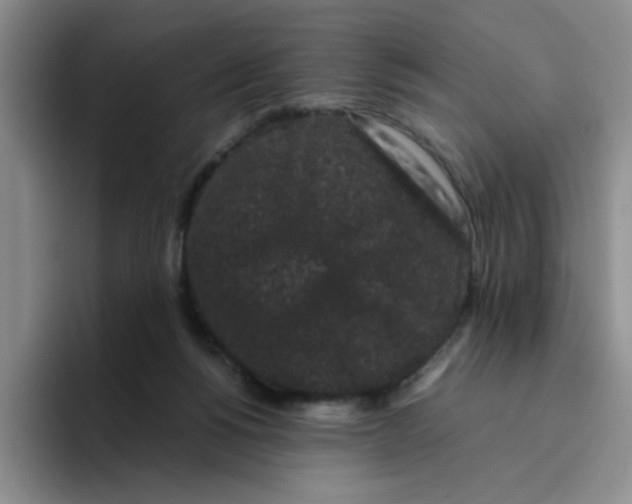 X0000096160168200802151422