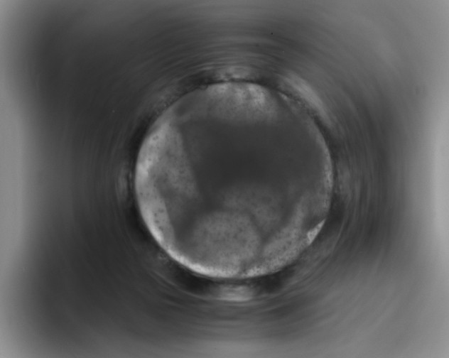 X0000096160169200802151422