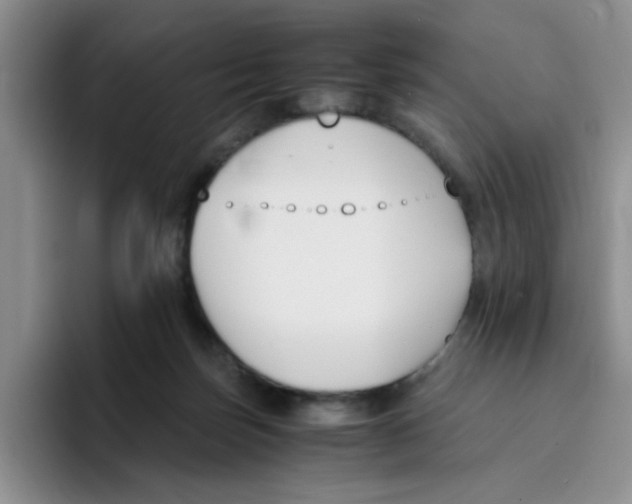 X0000096160171200802151422