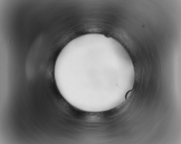 X0000096160175200802151422