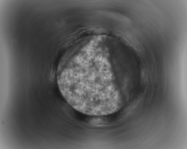 X0000096160177200802151422