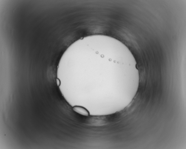 X0000096160179200802151422