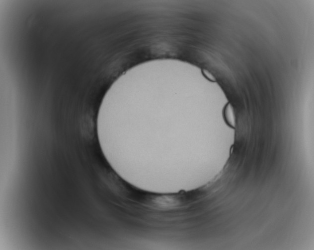 X0000096160183200802151422